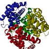 Enzymes - Delislim Composition 